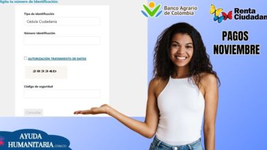 Banco Agrario ya habilitó link de consulta cuarto pago Renta Ciudadana