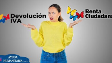 Devolución del IVA y Renta Ciudadana ¿Cuándo empiezan los próximos pagos?