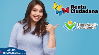 Hogares priorizados en la Nueva Renta Ciudadana