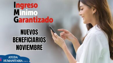 Ingreso Mínimo Garantizado: Consultar Nuevos Beneficiarios Noviembre