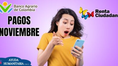 Pagos Noviembre Renta Ciudadana