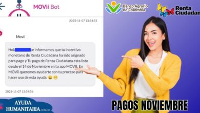 Renta Ciudadana: Movii anuncia pagos este 14 de Noviembre