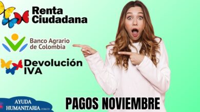 Renta Ciudadana y Devolución del IVA: Se espera semana de pagos de ambos subsidios