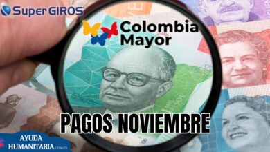 ¿Cuándo se realiza el pago de Colombia Mayor en Noviembre?
