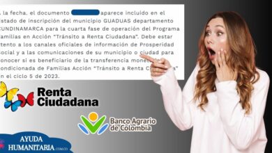 Renta Ciudadana: Link actualizado para pago de Diciembre