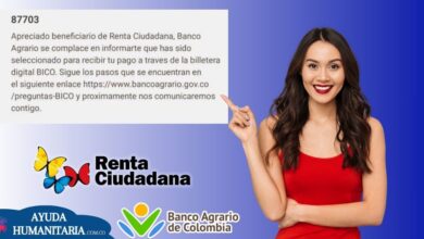Renta Ciudadana: Mensaje de BICO para el pago de Diciembre