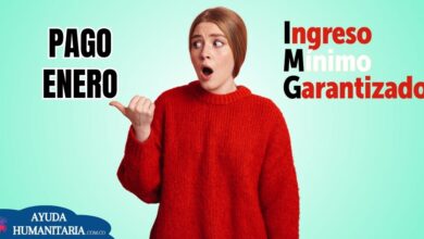 Ingreso Mínimo Garantizado: ¿Cuándo pagan en enero?