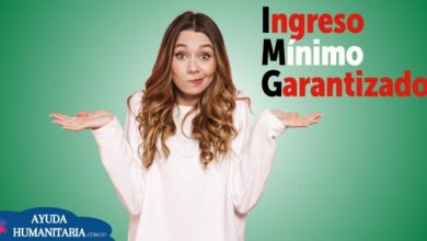 Ingreso Mínimo Garantizado: ¿Quiénes y Cuánto Reciben?
