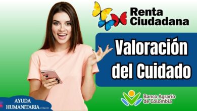 Renta Ciudadana: Hogares inscritos en la línea Valoración del Cuidado
