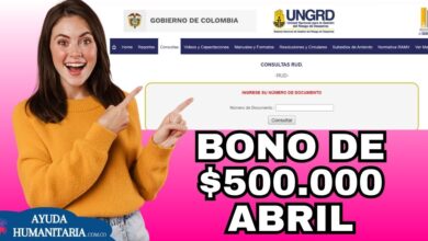 Bono de $500.000: Listado de hogares beneficiarios en Marzo
