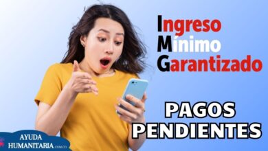 Consulta YA si tienes pagos pendientes por cobrar del Ingreso Mínimo Garantizado