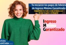 Pagos IMG febrero 2026 Bogotá