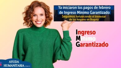 Pagos IMG febrero 2026 Bogotá