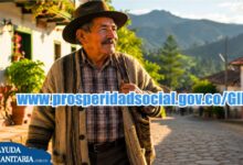 Gestor de Información Financiera para subsidios