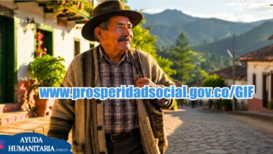 Gestor de Información Financiera para subsidios