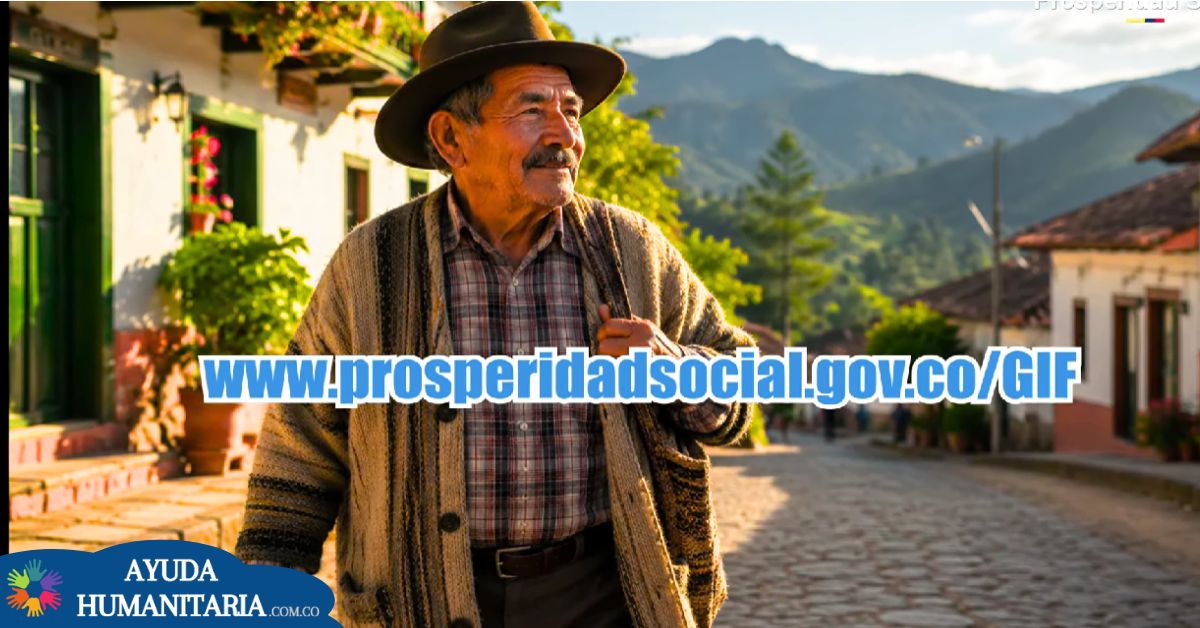 Gestor de Información Financiera para subsidios