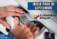 ciclo 7 Colombia Mayor