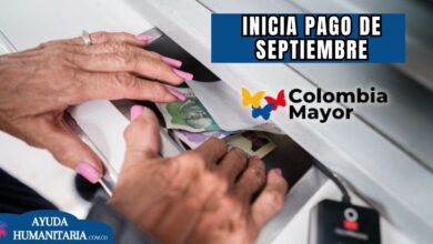 ciclo 7 Colombia Mayor