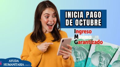 Pagos del Ingreso Mínimo Garantizado en octubre